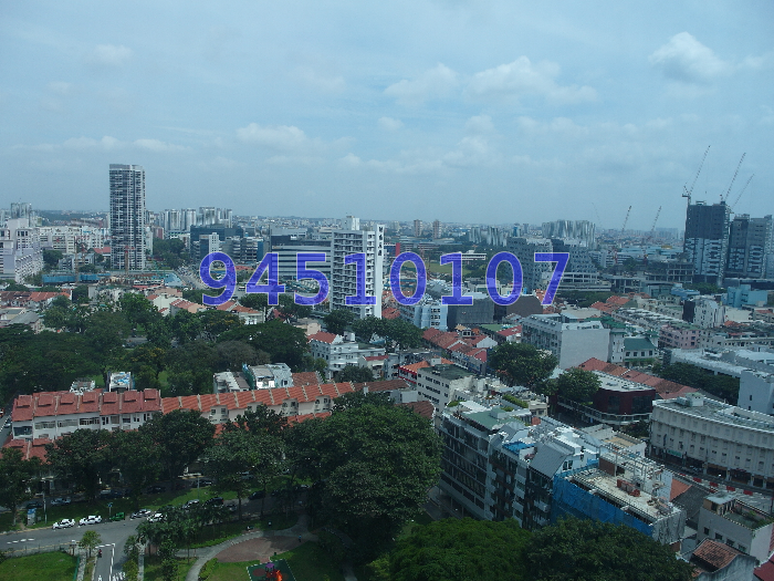 City Square Residences (D8), Condominium #43854122